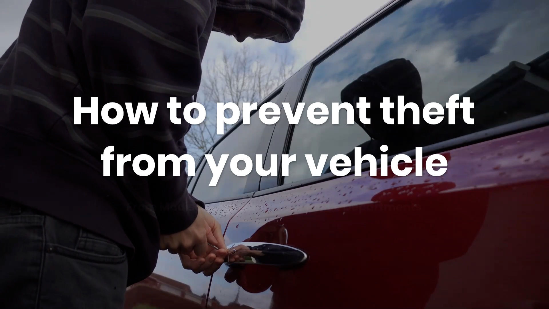 How to prevent theft from your vehicle